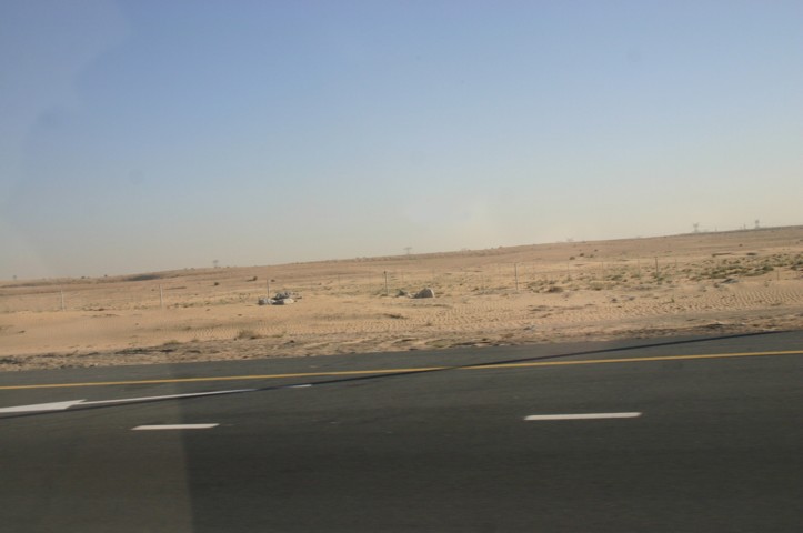 On the road to the safari