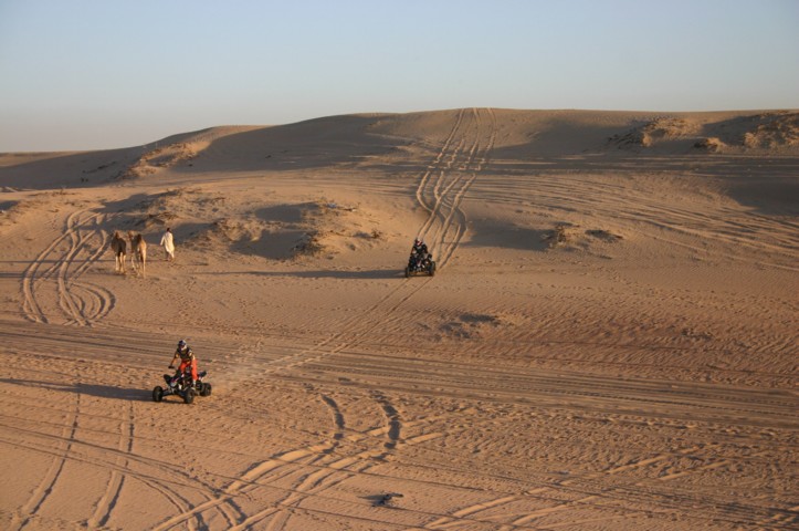 Quad bikes and camels