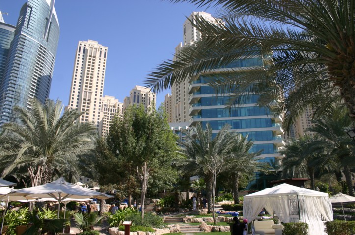 The hotel garden