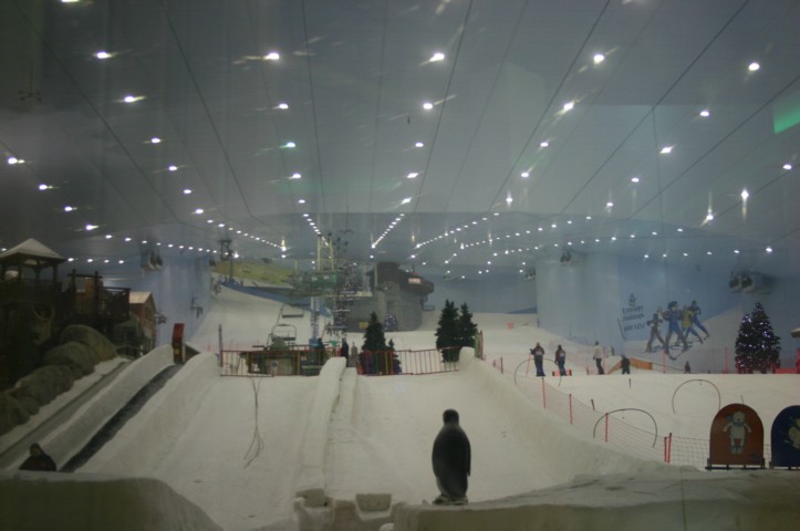 The ski slope from the bottom