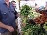 Fresh vegetables