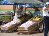 Golden That Fruit Sellers