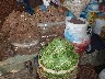 Spices