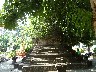Wat Si Saket burial places