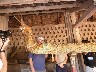 Wat Si Saket the Naga water pipes