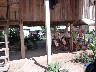 Muang Phonhong a shop