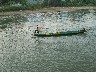 Throwing the nets