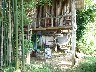 Backpackers house