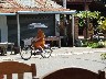 Organic farm restaurant - monk on bicycle