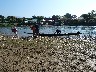 Our boats arrive