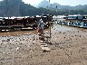 On Mekong arriving for lunch