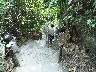 Back down the steps to the boat