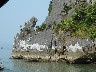 Dog island at high tide