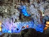 Ha Long Bay Cave 5
