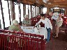 Ha Long Bay Lunch on board prawns and cockles to start