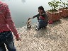 Letting birds go free for good luck