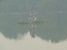 Temple in middle of lake