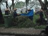 Gardeners