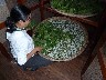 Hoi An silk factory 3