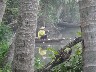 Fisherman