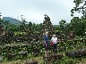 Khuong Trung