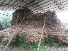 Khuong Trung 11
