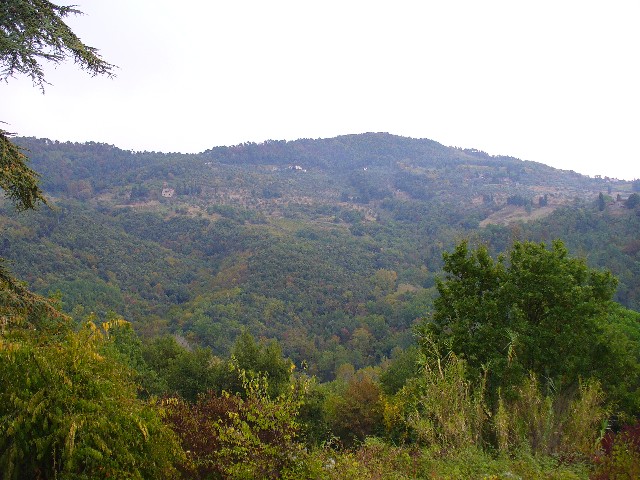 P1020997