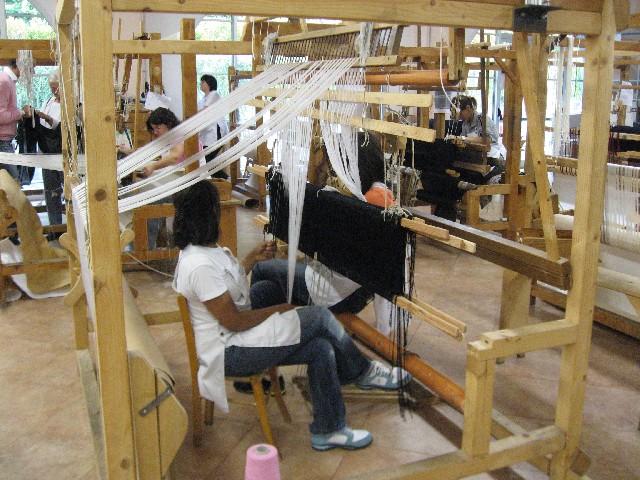 IMG 2661