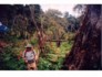 kili.ppt.059