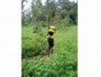 kili.ppt.061
