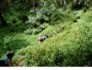 kili.ppt.088
