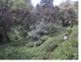 kili.ppt.090