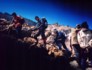 kili.ppt.220