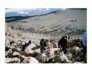 kili.ppt.249