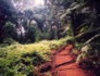 kili.ppt.299