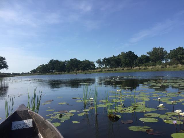 Botswana/Graham/IMG_3933.jpg