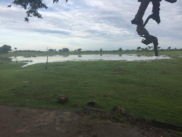 ../photos/Botswana/Graham/IMG_3949.jpg?t=1775419124