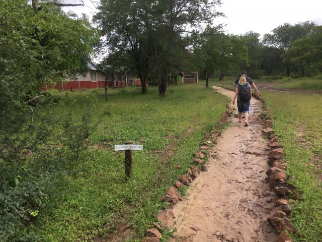 ../photos/Botswana/Graham/IMG_4006.jpg?t=1775420089