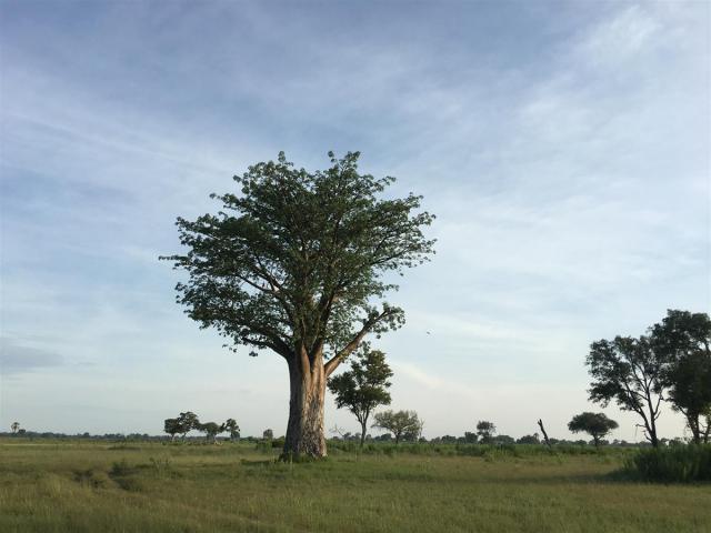 ../photos/Botswana/Jane/IMG_1586.jpg?t=1775440283