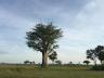 ../photos/Botswana/Jane/IMG_1586_1.jpg?t=1775440283