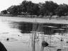 ../photos/Botswana/Jane/IMG_1588_1.jpg?t=1775440283