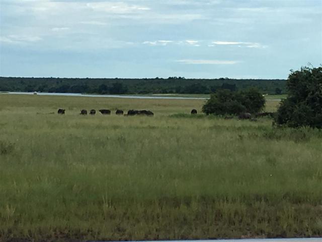 ../photos/Botswana/Jane/IMG_1624.jpg?t=1775325217