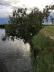../photos/Botswana/Jane/IMG_1643_1.jpg?t=1775325217