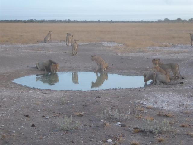 ../photos/Botswana/Jane/P1030056.jpg?t=1775440317