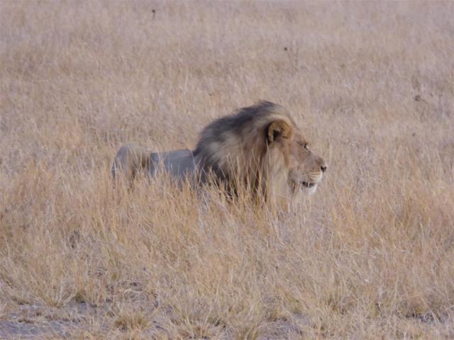 ../photos/Botswana/Jane/P1030071.jpg?t=1775440317