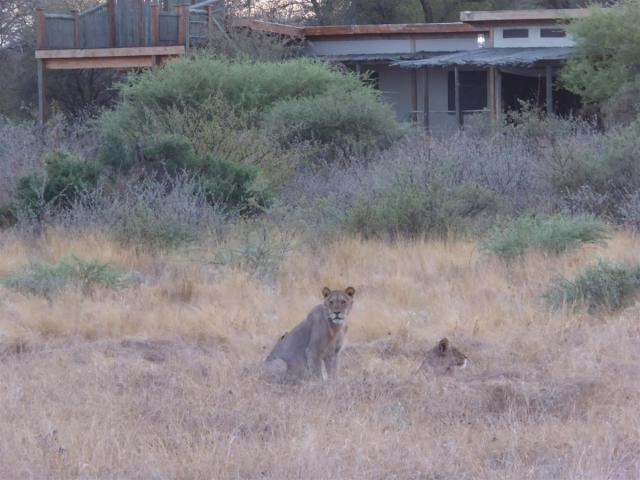 ../photos/Botswana/Jane/P1030104.jpg?t=1775440317