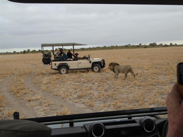 ../photos/Botswana/Jane/P1030147.jpg?t=1775440317