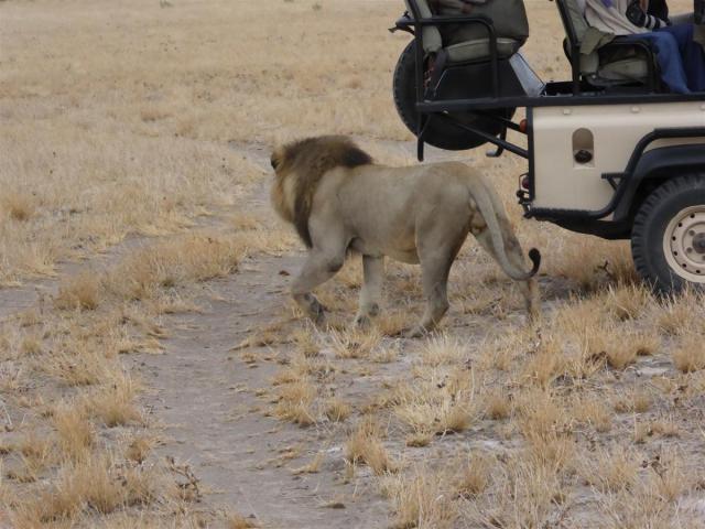 ../photos/Botswana/Jane/P1030148.jpg?t=1775440317