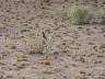 ../photos/Botswana/Jane/P1030166_1.jpg?t=1775440317