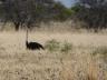 ../photos/Botswana/Jane/P1030175_1.jpg?t=1775440317